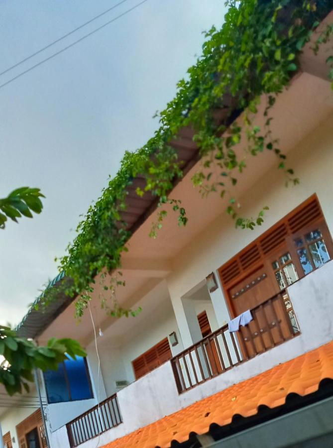 Green View Guest Mirissa Exterior foto