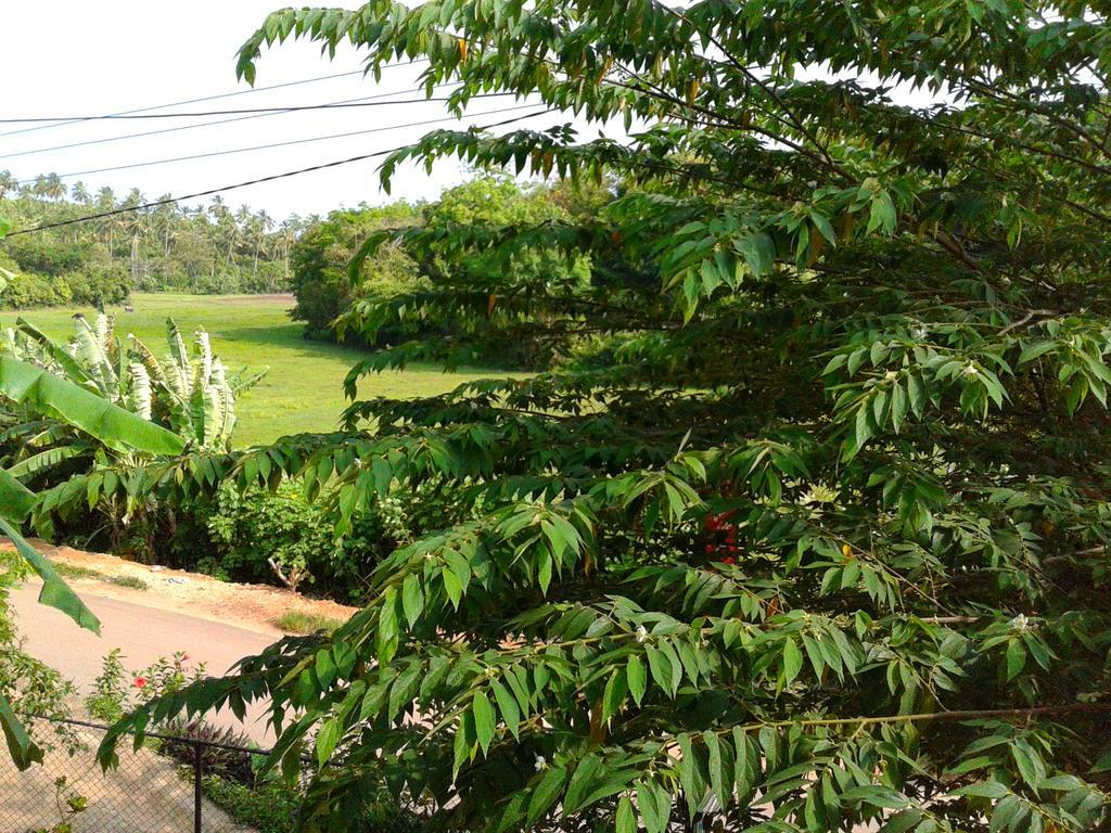 Green View Guest Mirissa Exterior foto